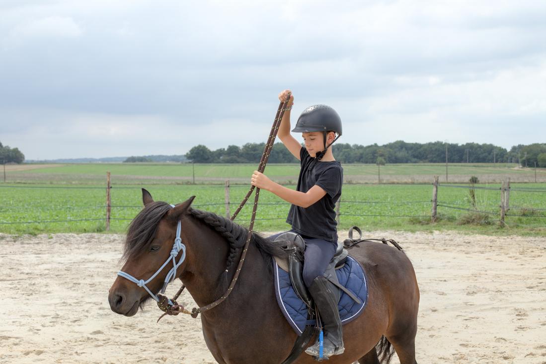 se mettre en selle, tenir ses rènes