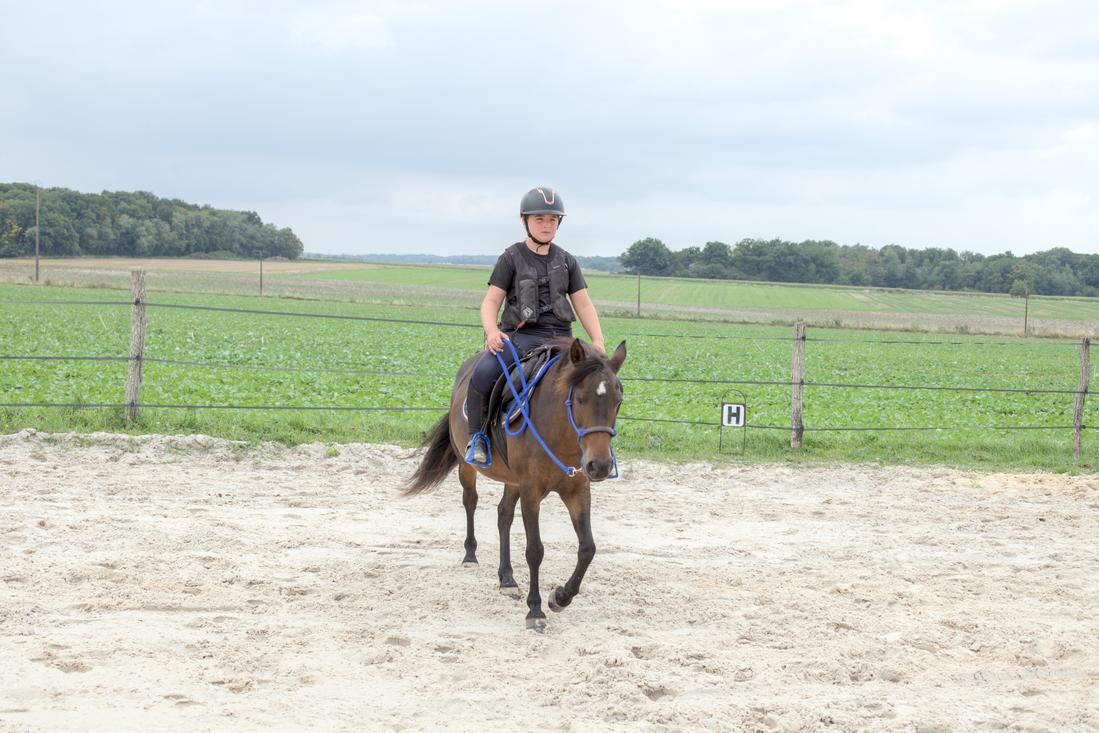 Travail monté en licol
