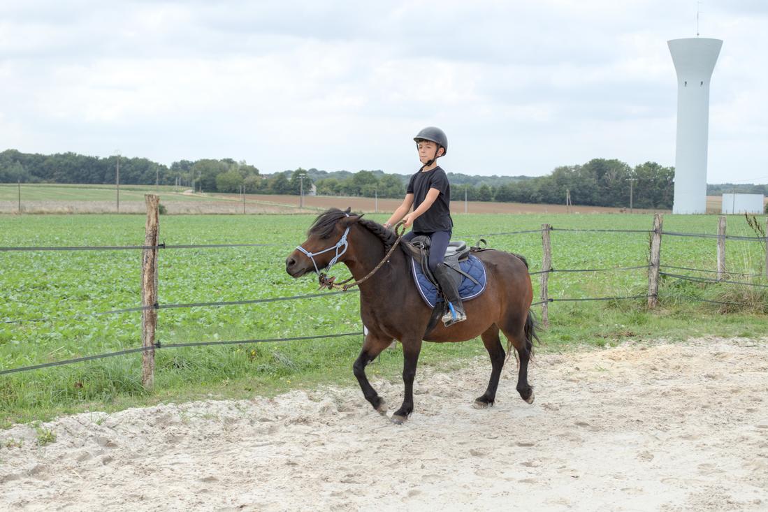 Travail monté en licol