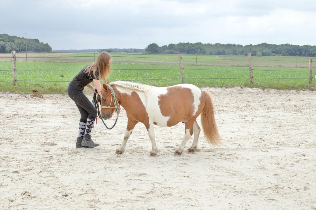 Faire reculer son cheval hors de son espace personnel
