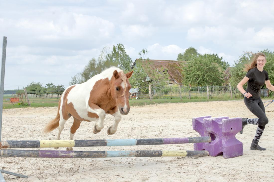 Envoyer son cheval au dessus d’une embuche