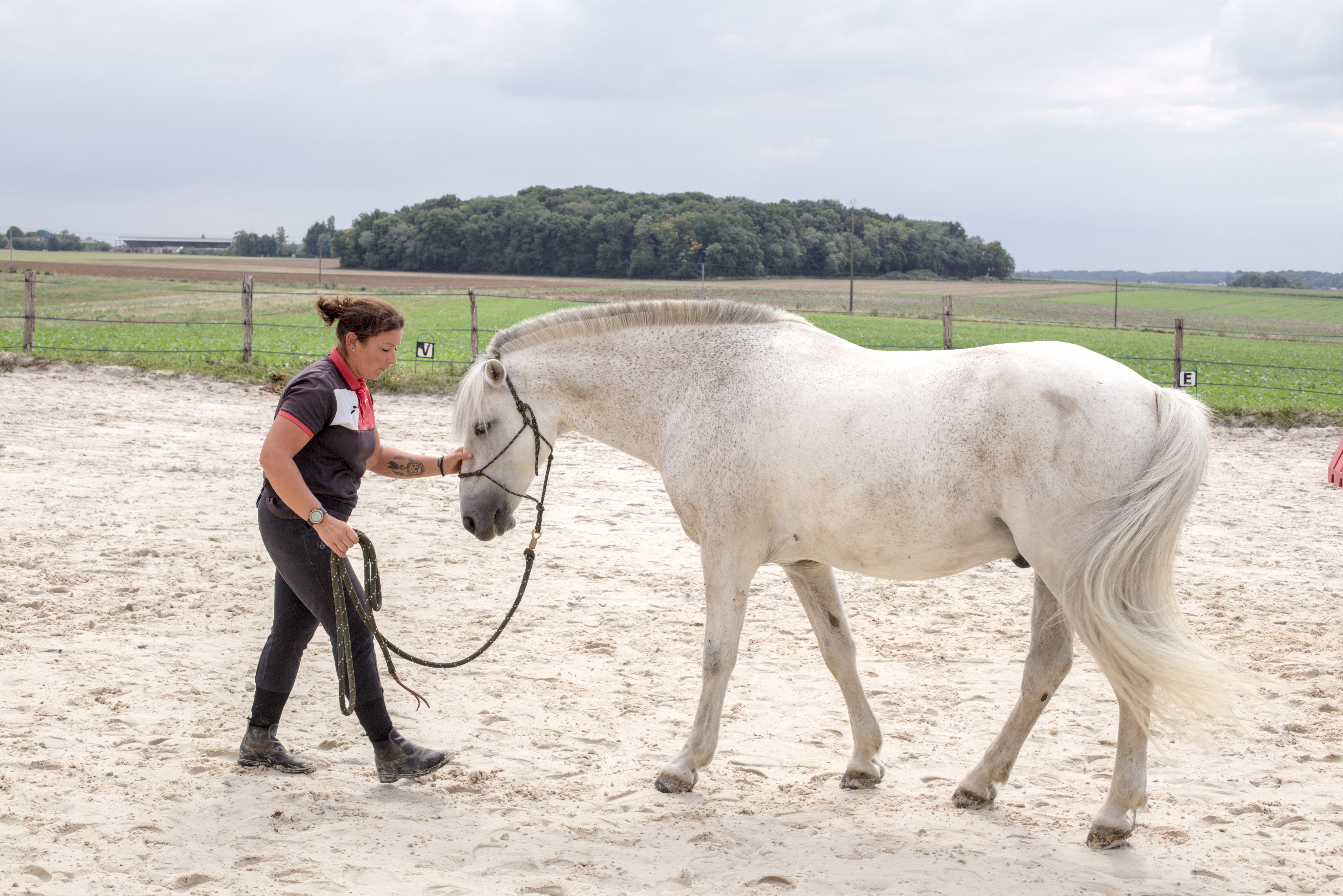 Reculer par sensation