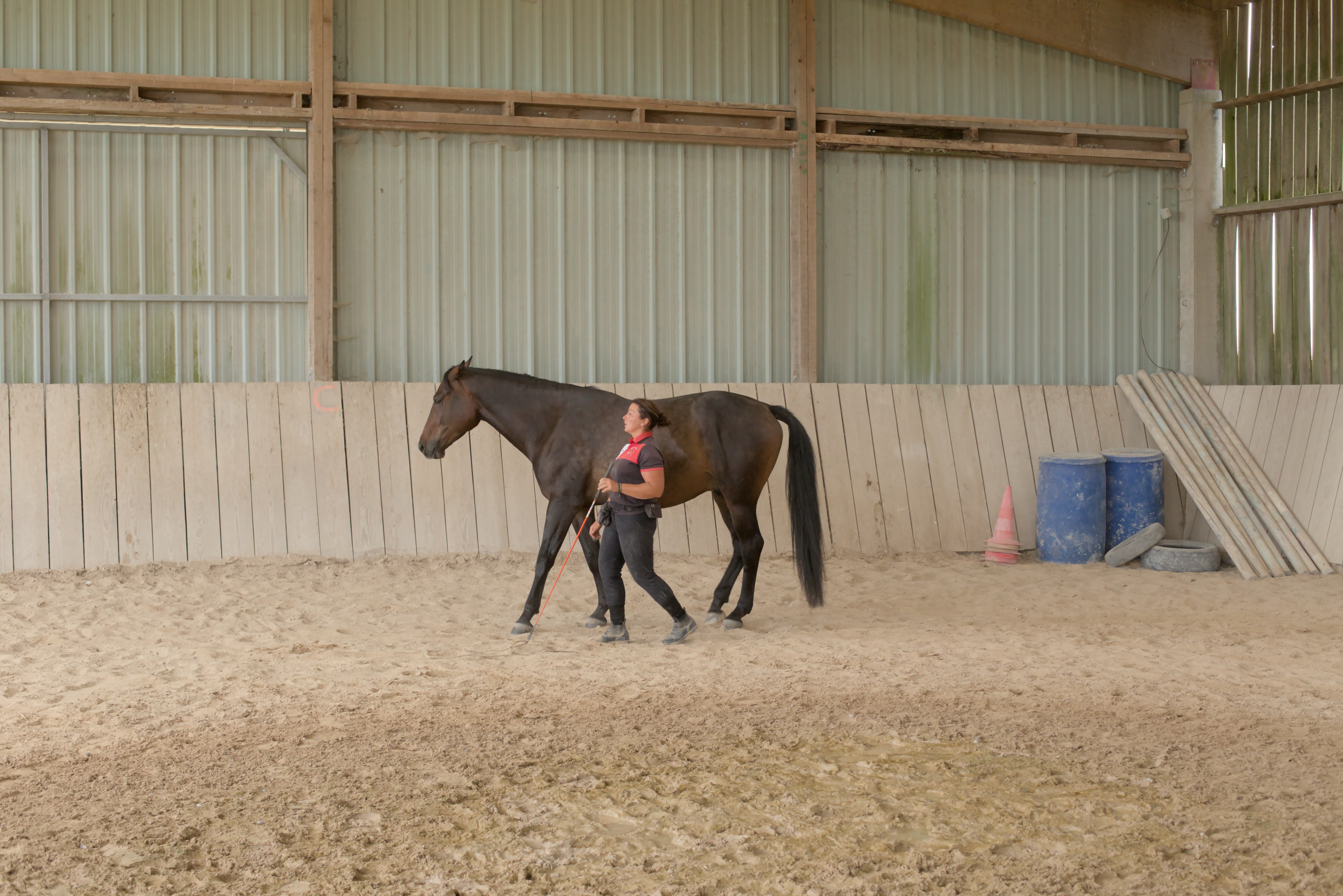 Le reculer en liberté