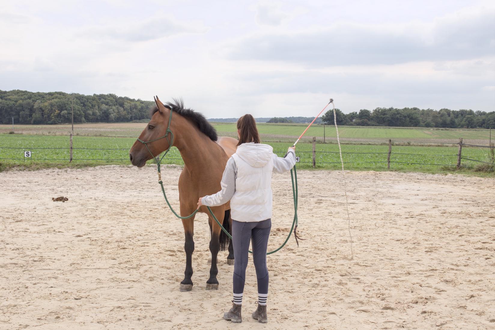 Travail avec le stick