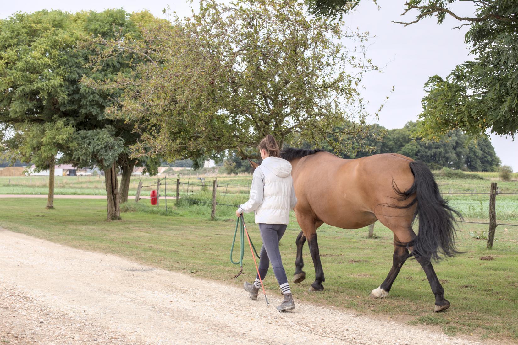 Partir en balade à pied