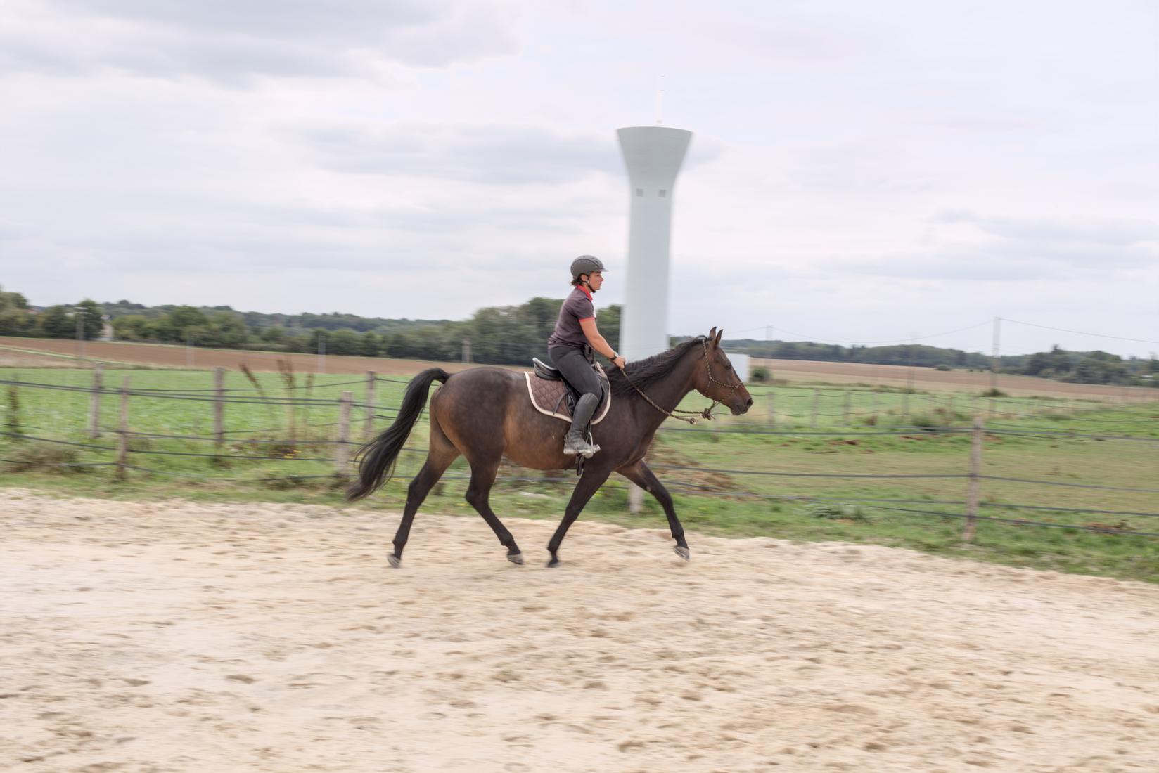 Travail monté en licol